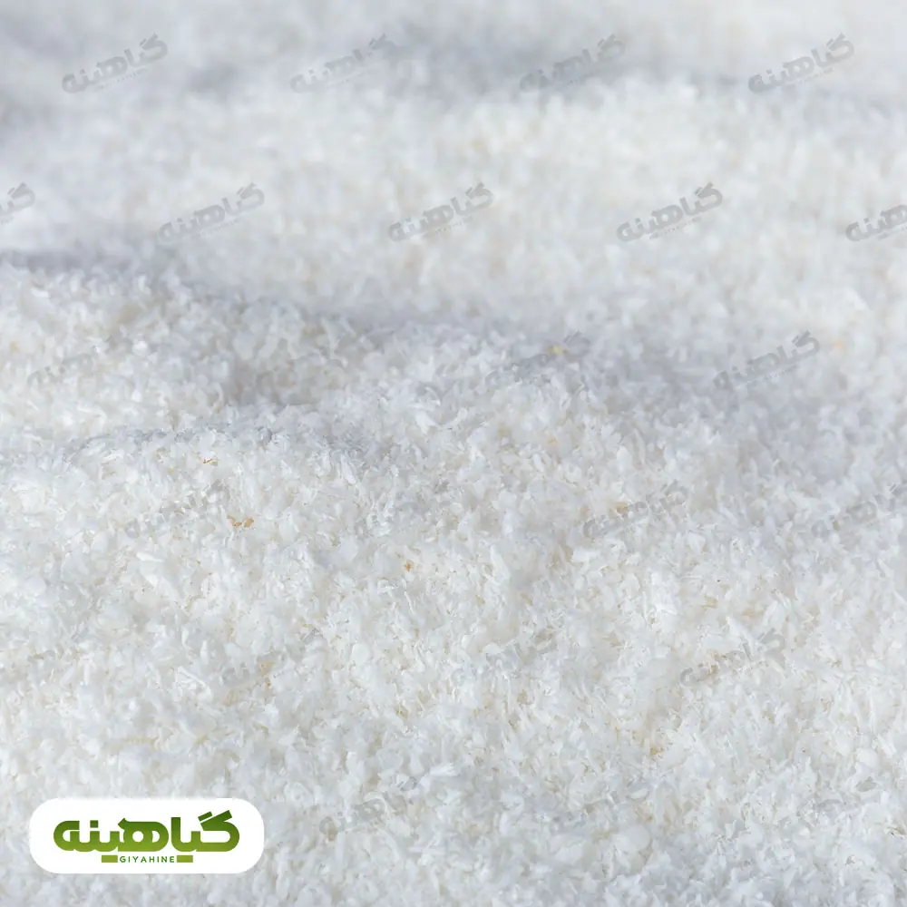 خرید پودر نارگیل چرب سریلانکا