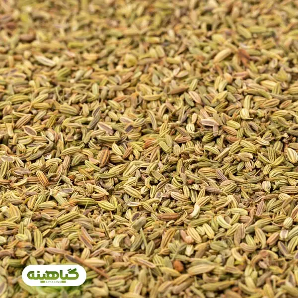 خرید رازیانه