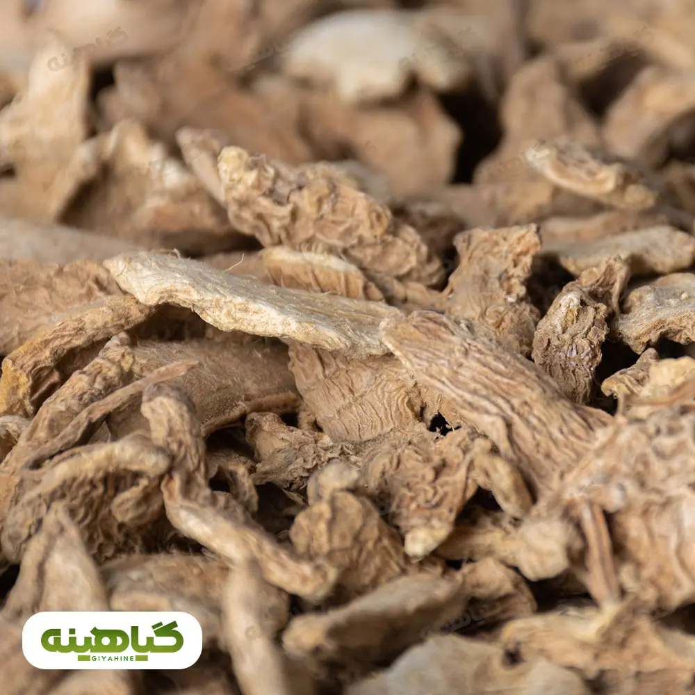 خرید زنجبیل قلم نیجریه آسیابی