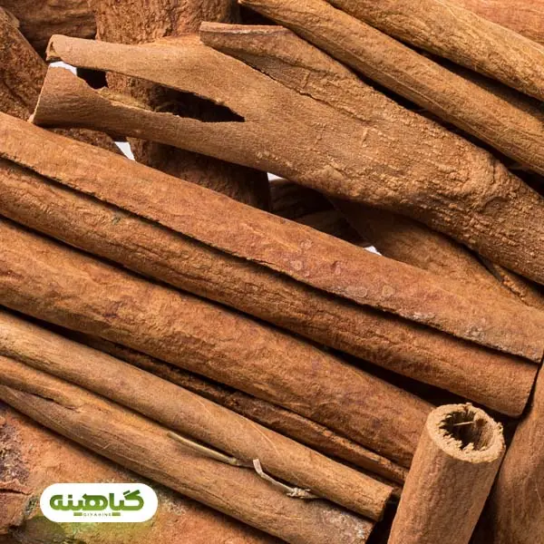 خرید دارچین سیگاری