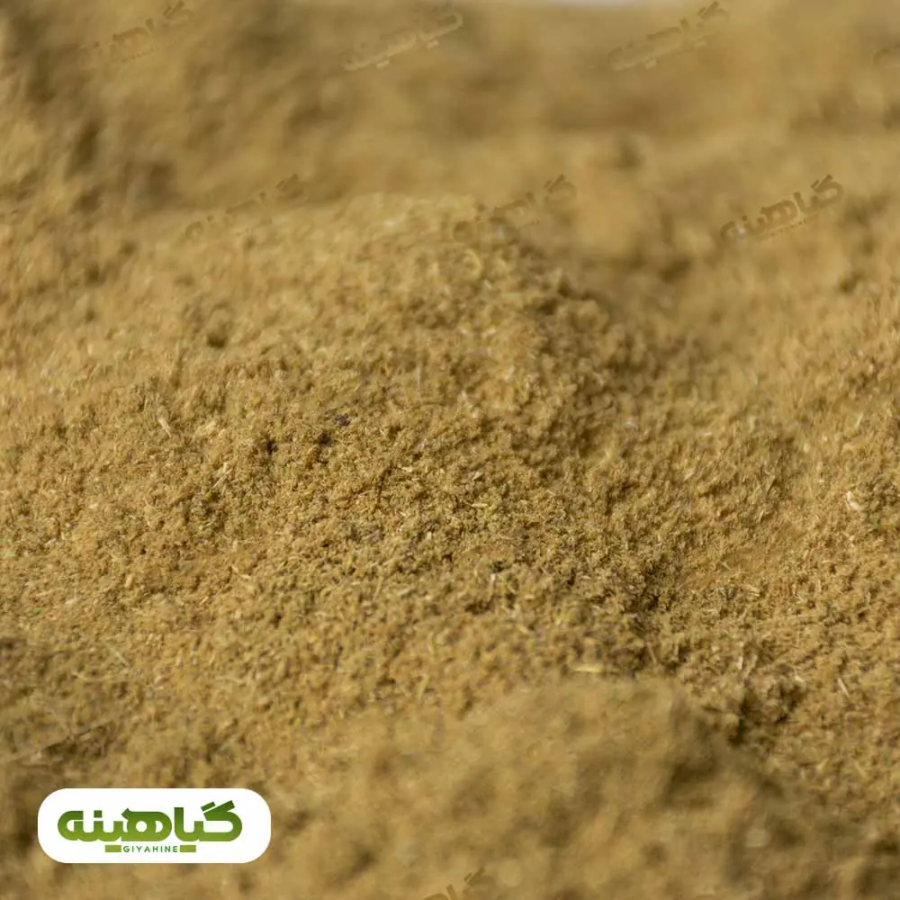 خرید پودر زیره سبز