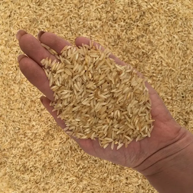خرید برنج دودی