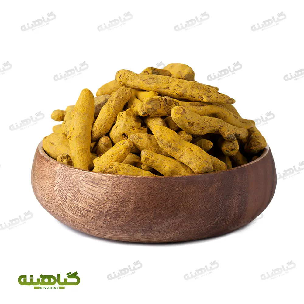 زردچوبه قلم هندی