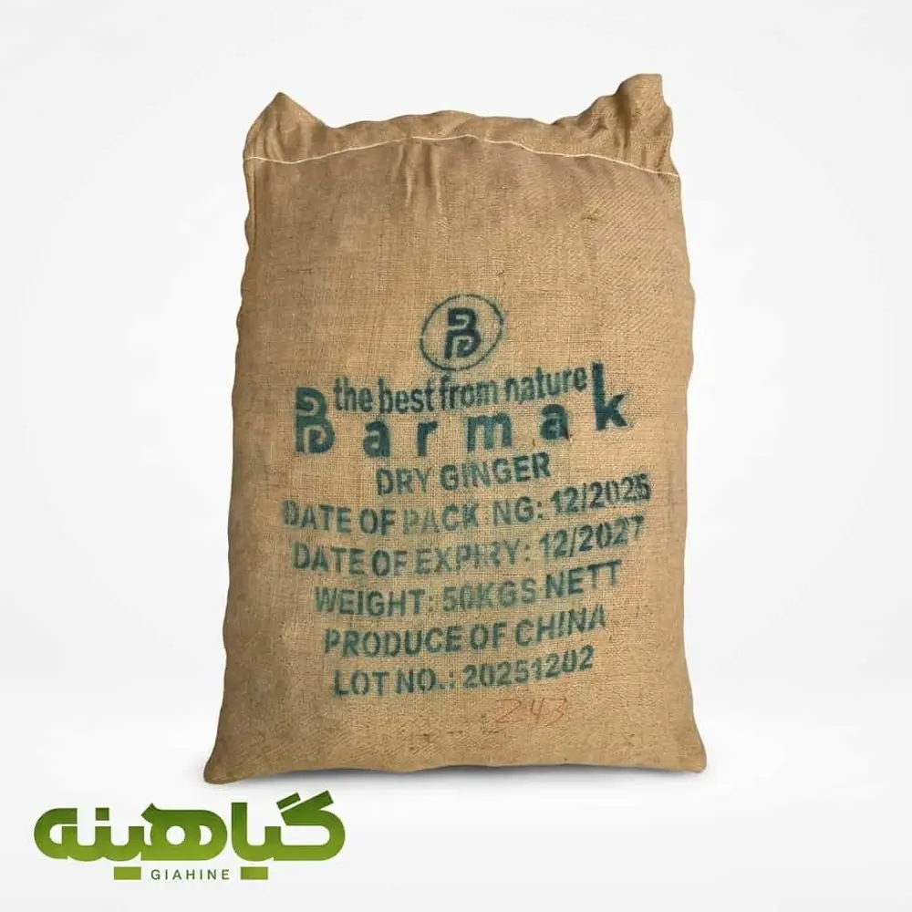 خرید زنجبیل قلم چینی برند برمک