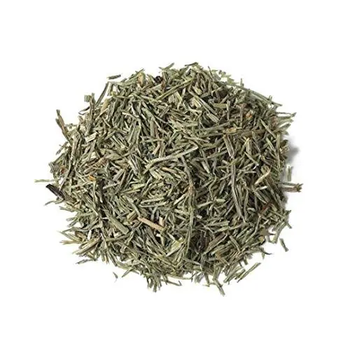 گیاه دم اسب