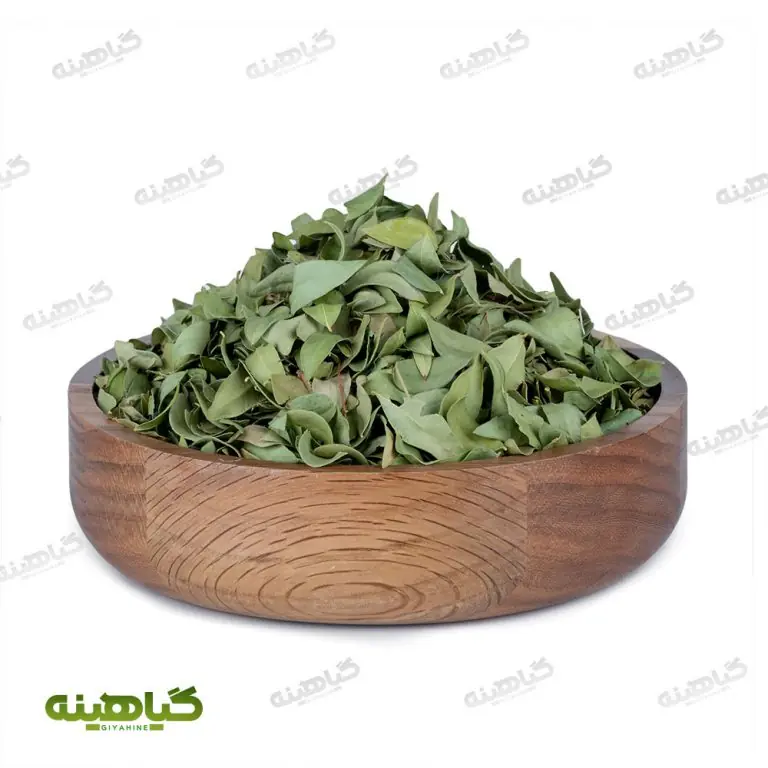 برگ مورد