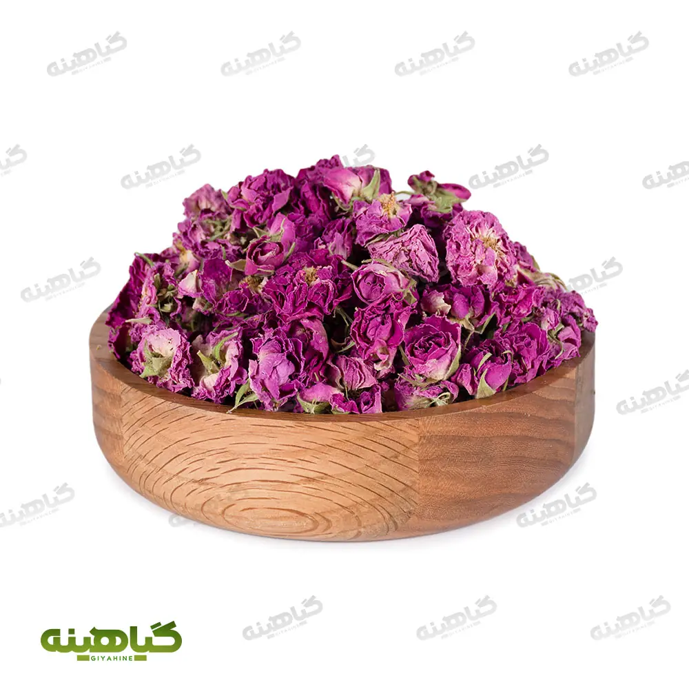 گل محمدی باز شده