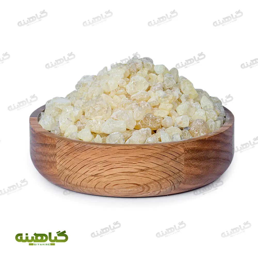 مصطکی اصلی ۵۰۰ گرمی