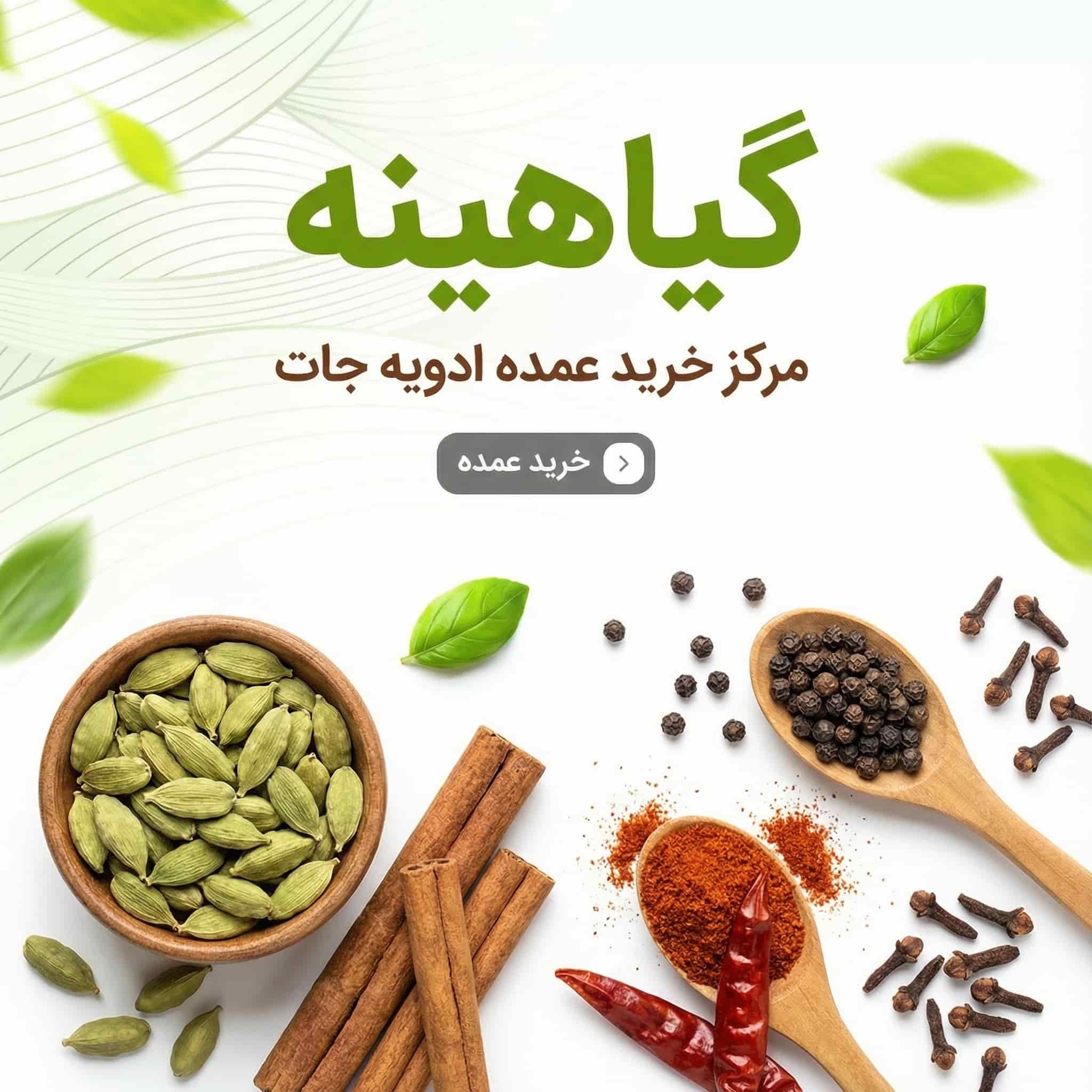 گیاهینه مرکز خرید عمده ادویه جات