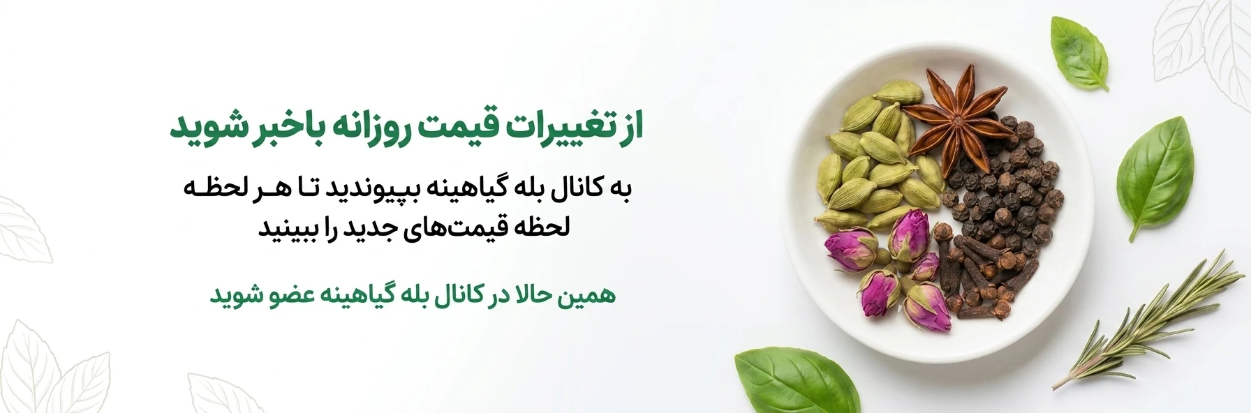 بنر کانال تغییرات قیمت محصولات گیاهینه در بله