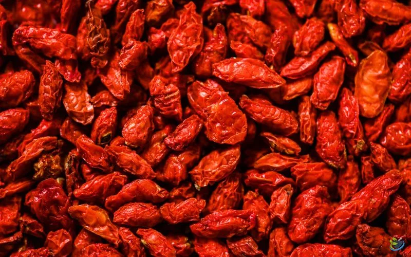 قیمت زرشک کیلویی