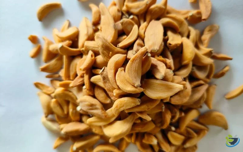 خرید سیر خشک