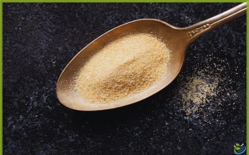 خرید پودر سیر