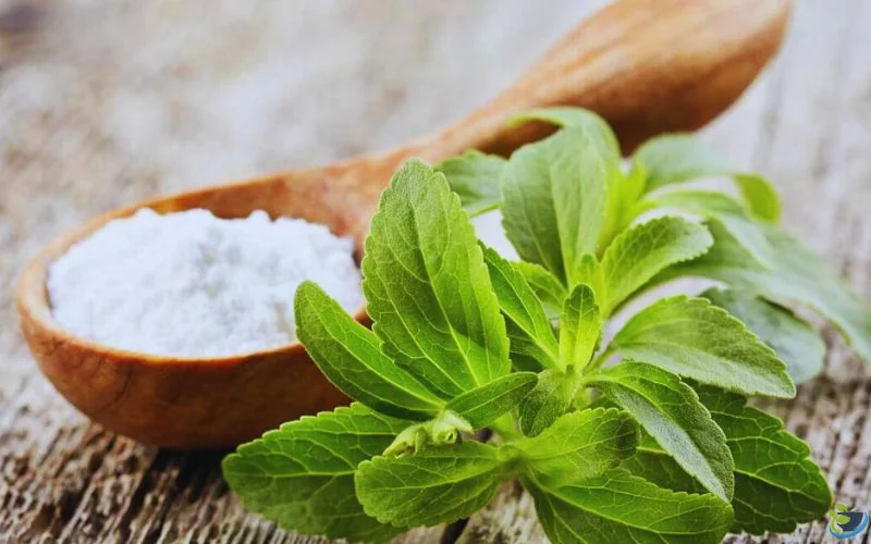 قیمت هر کیلو شکر استویا