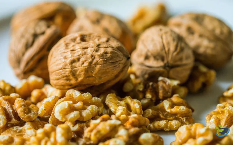 قیمت مغز گردو تازه