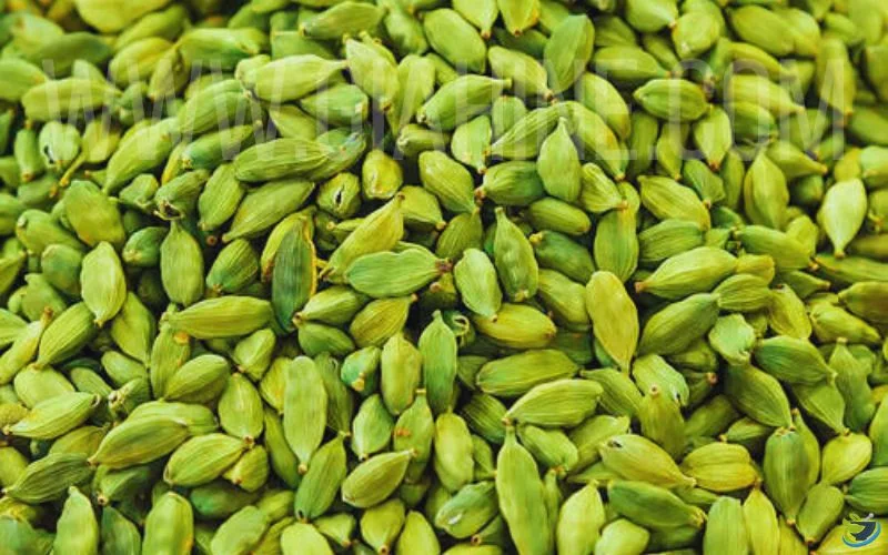 هل پیور اسپایس