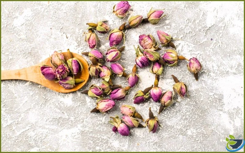 قیمت گل محمدی