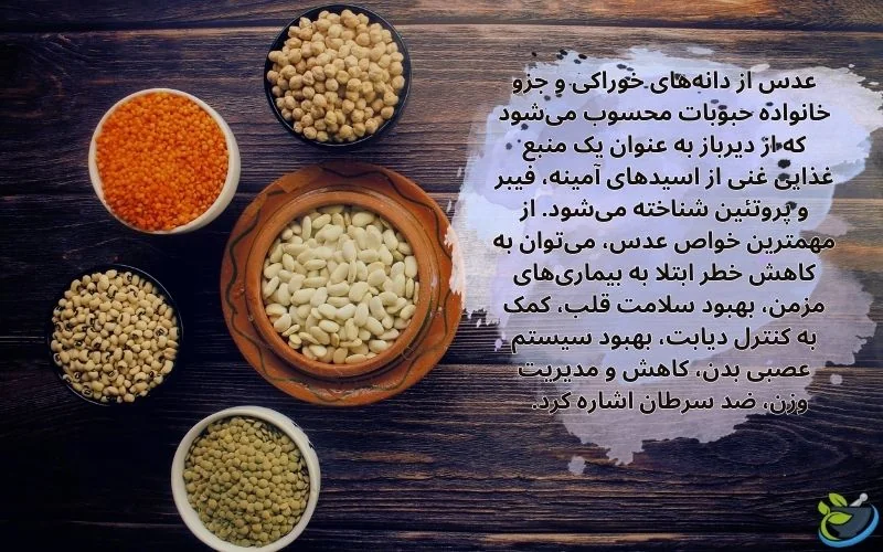قیمت عدس