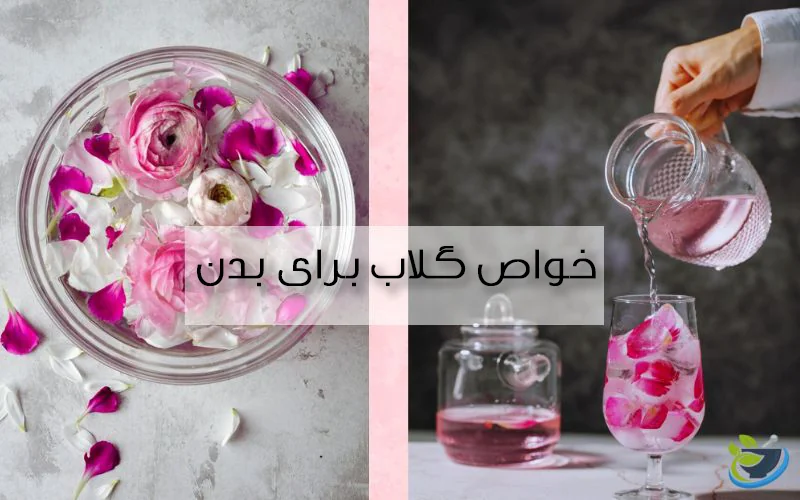 قیمت گلاب یک لیتری