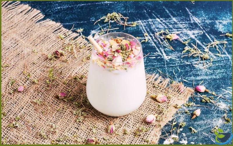 خرید گل محمدی تازه