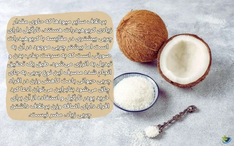  پودر نارگیل خشک اندونزی