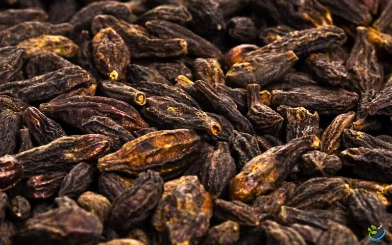 قیمت هلیله سیاه