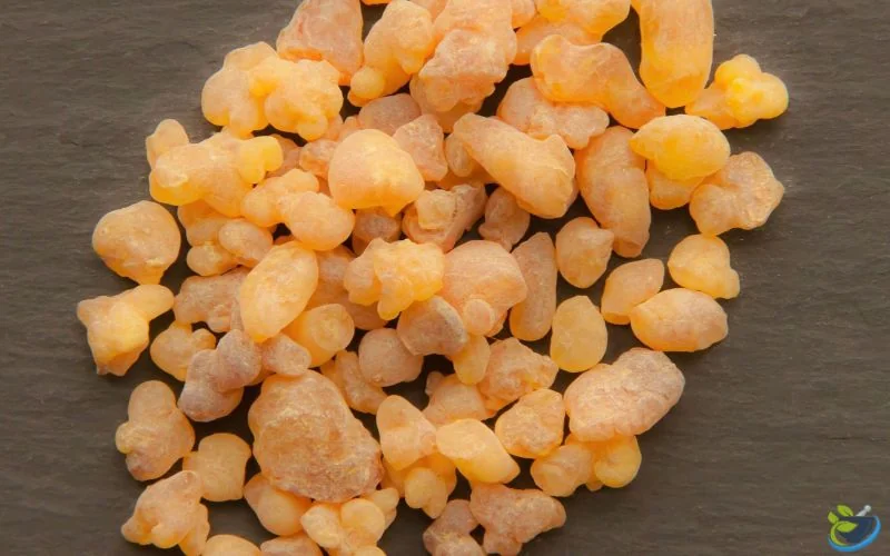 کندر خوراکی