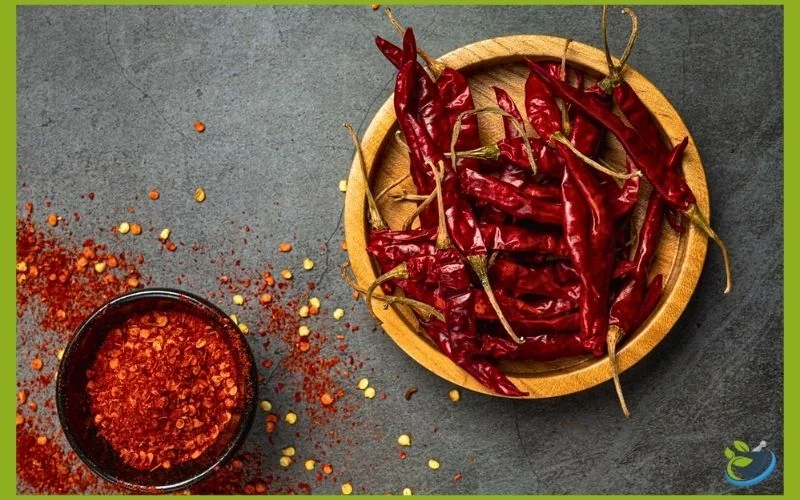 فلفل شاخ بزی