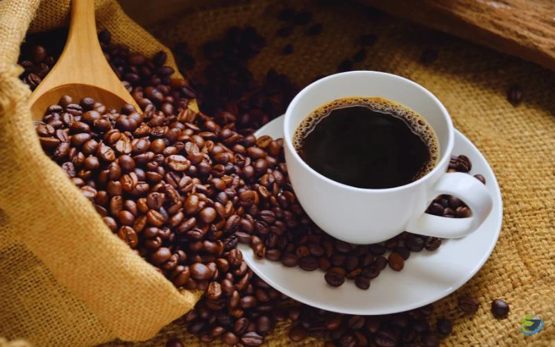 خرید قهوه سبز عمده