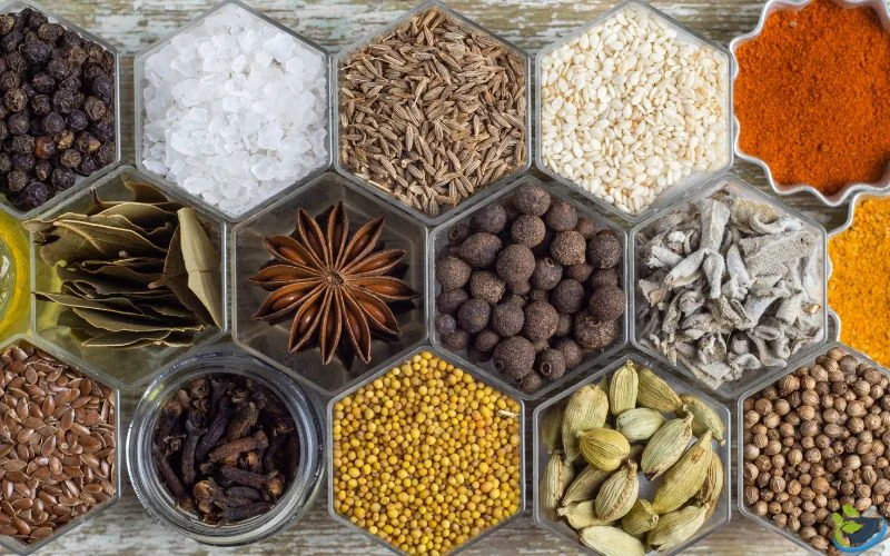 پخش عمده ادویه در مشهد