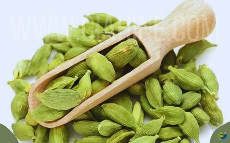 قیمت هل اکبر سبز