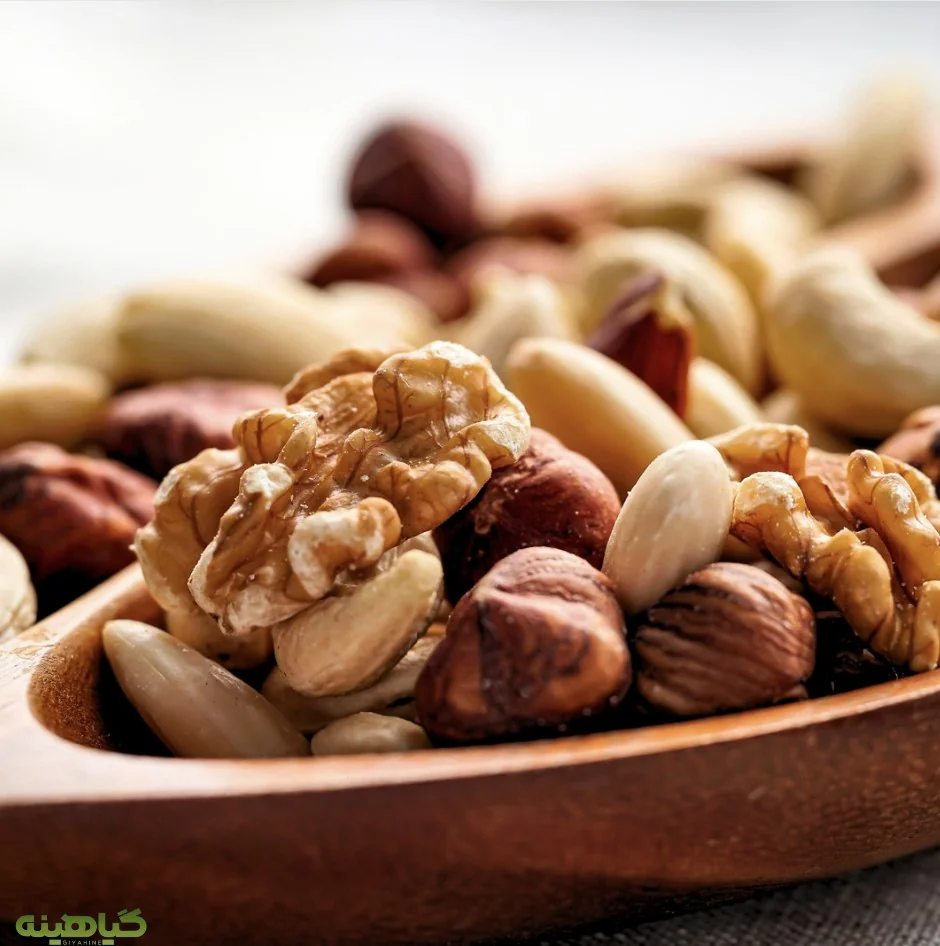 خرید عمده خشکبار