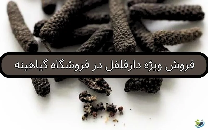 خرید دارفلفل