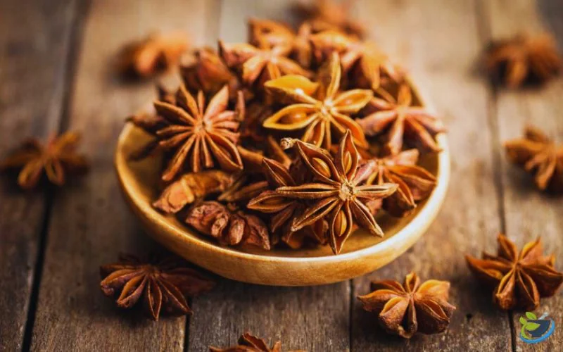 قیمت و خرید بادیان ستاره ای
