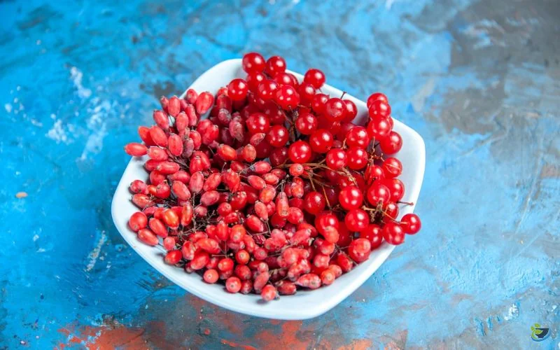 قیمت زرشک